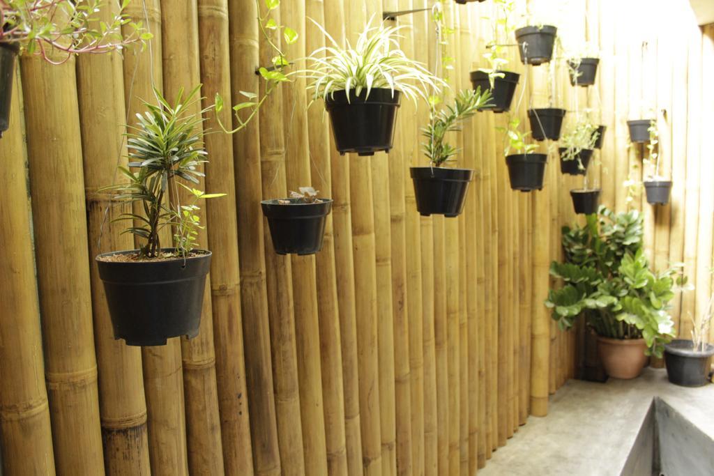 Teduh Hostel Kota Tua Jakarta Kültér fotó